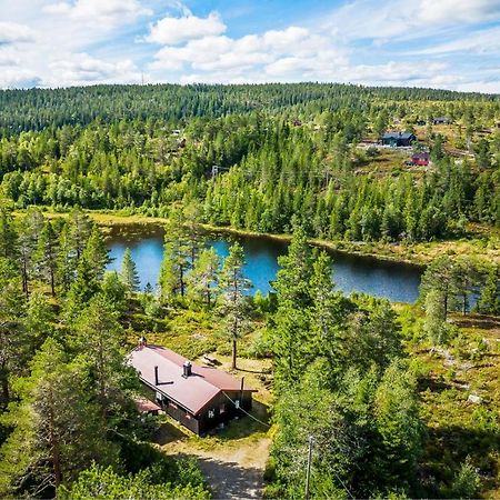 Kongsberg Ro I Sjelen. Hytte Til Leie Pa Skrim. מראה חיצוני תמונה