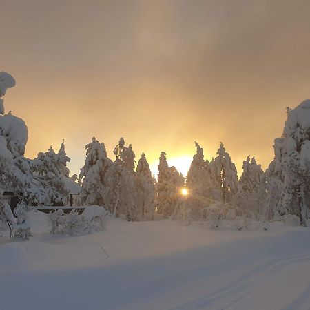 Kongsberg Ro I Sjelen. Hytte Til Leie Pa Skrim. מראה חיצוני תמונה