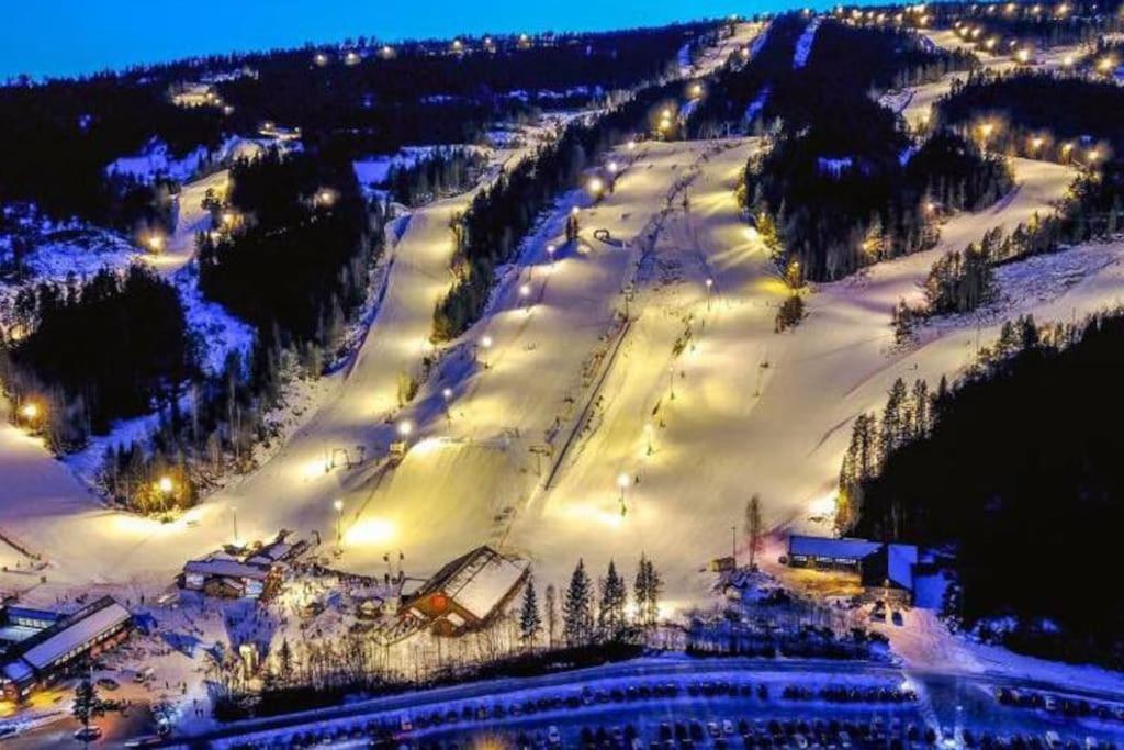 Kongsberg Ro I Sjelen. Hytte Til Leie Pa Skrim. מראה חיצוני תמונה
