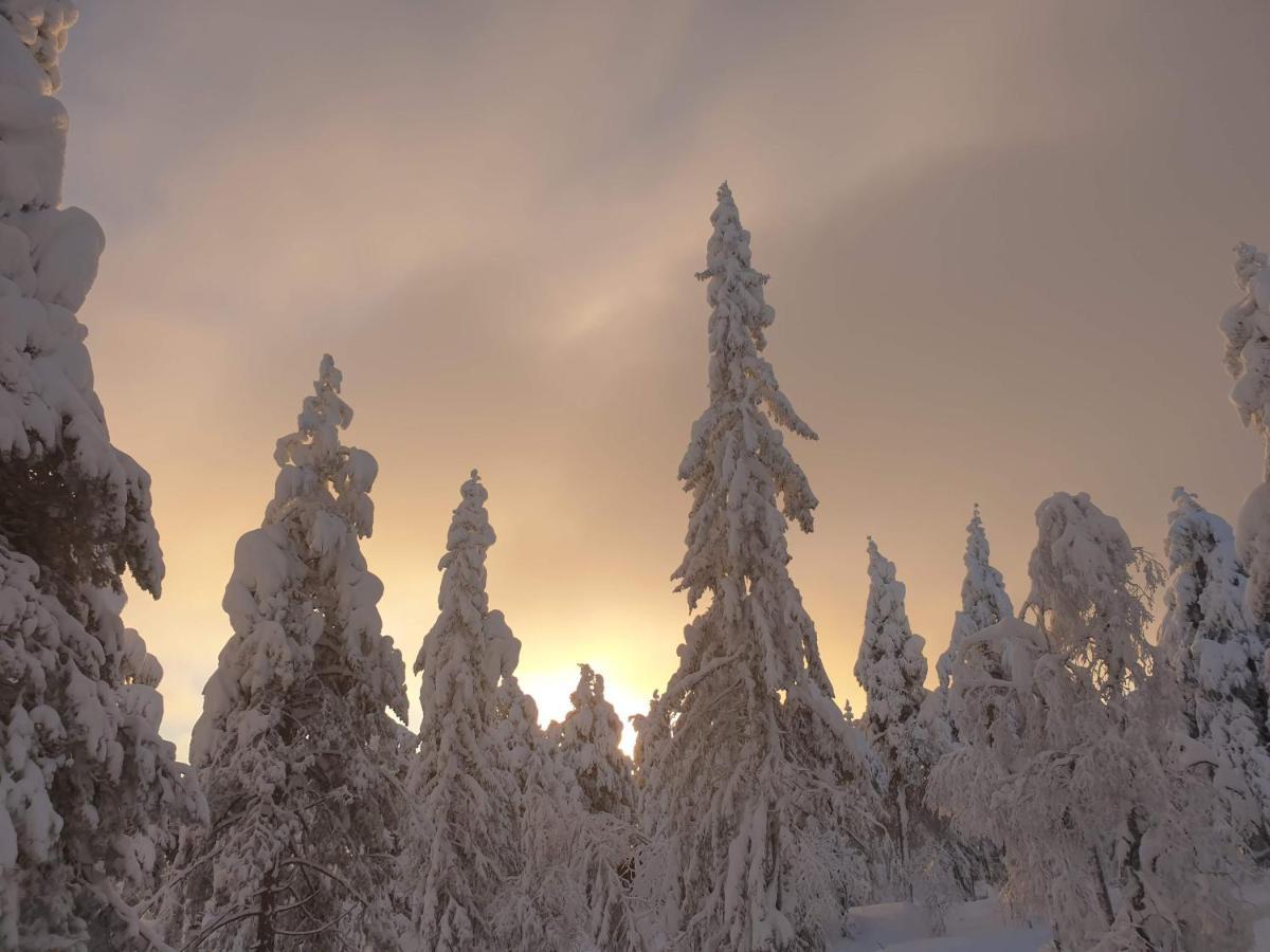 Kongsberg Ro I Sjelen. Hytte Til Leie Pa Skrim. מראה חיצוני תמונה