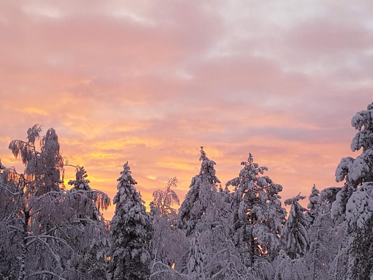 Kongsberg Ro I Sjelen. Hytte Til Leie Pa Skrim. מראה חיצוני תמונה