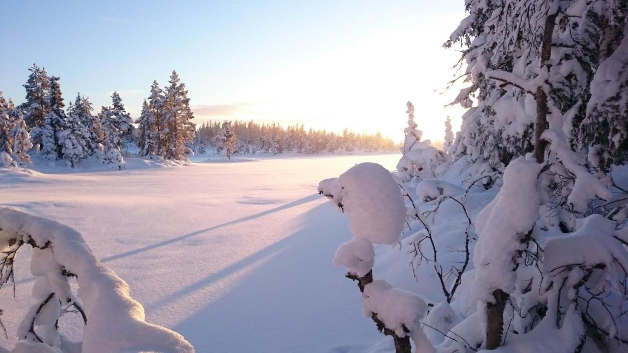Kongsberg Ro I Sjelen. Hytte Til Leie Pa Skrim. מראה חיצוני תמונה