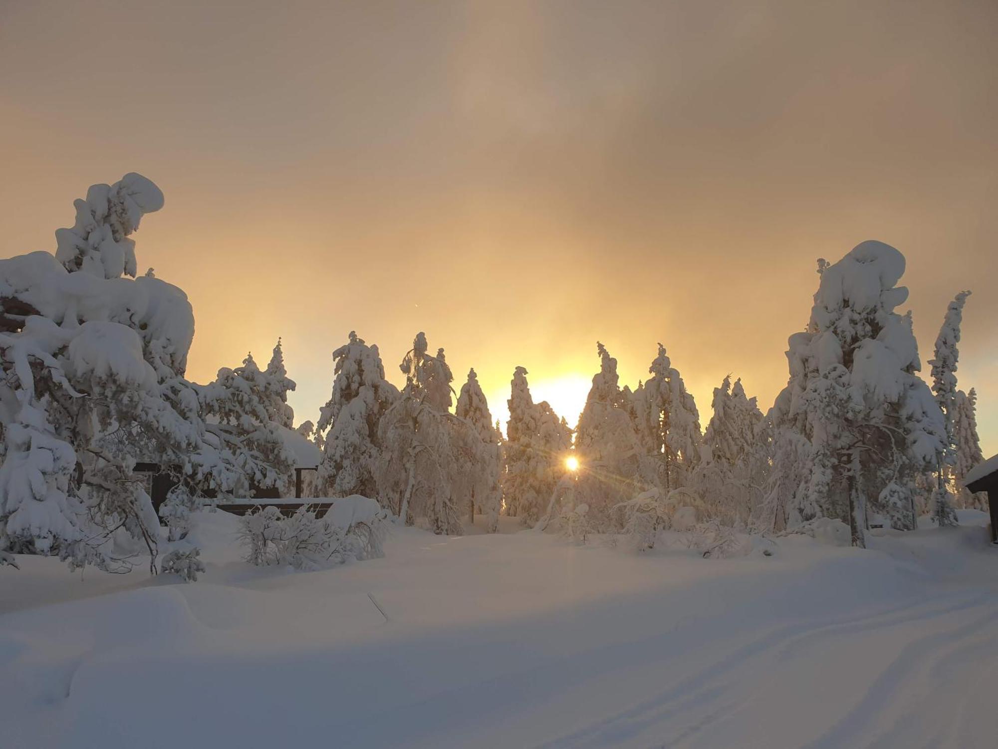 Kongsberg Ro I Sjelen. Hytte Til Leie Pa Skrim. מראה חיצוני תמונה