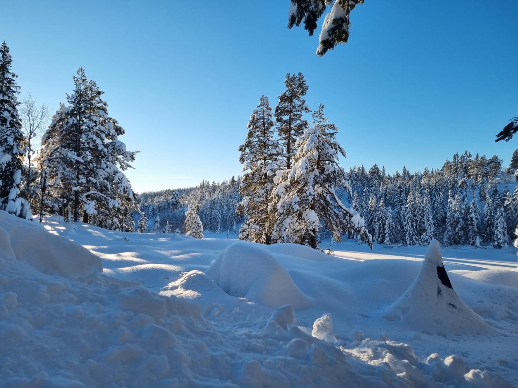 Kongsberg Ro I Sjelen. Hytte Til Leie Pa Skrim. מראה חיצוני תמונה