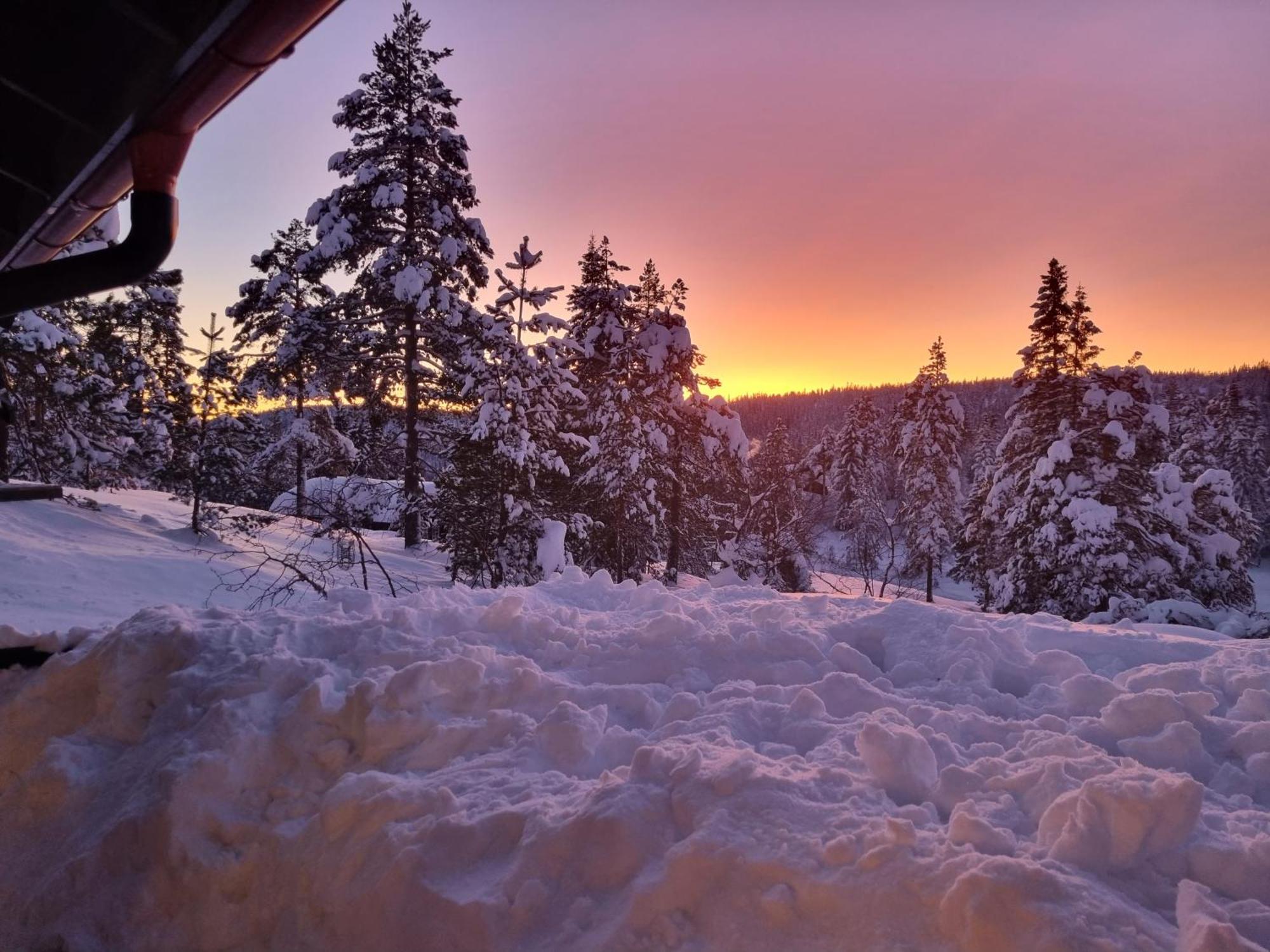 Kongsberg Ro I Sjelen. Hytte Til Leie Pa Skrim. מראה חיצוני תמונה