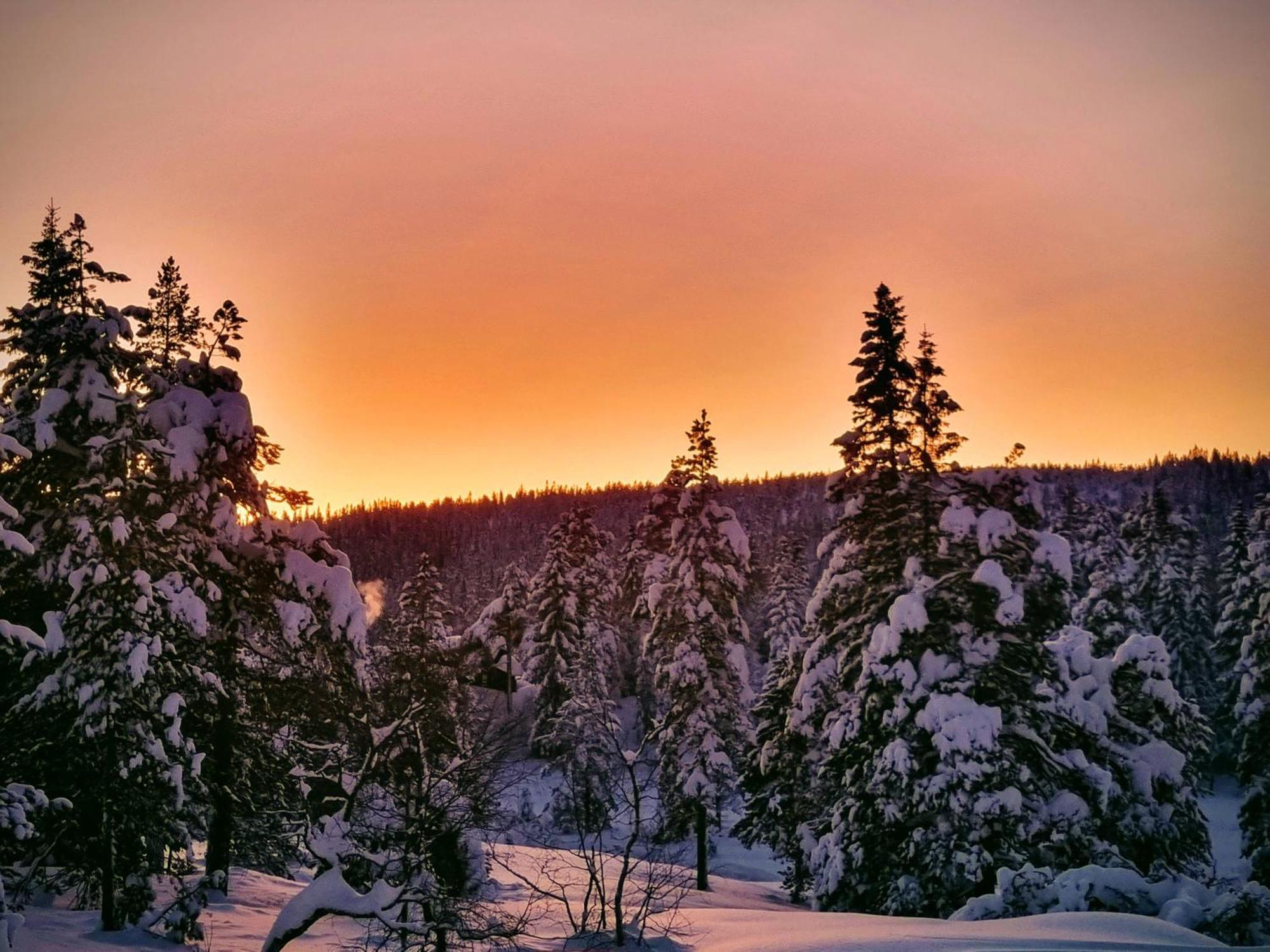 Kongsberg Ro I Sjelen. Hytte Til Leie Pa Skrim. מראה חיצוני תמונה
