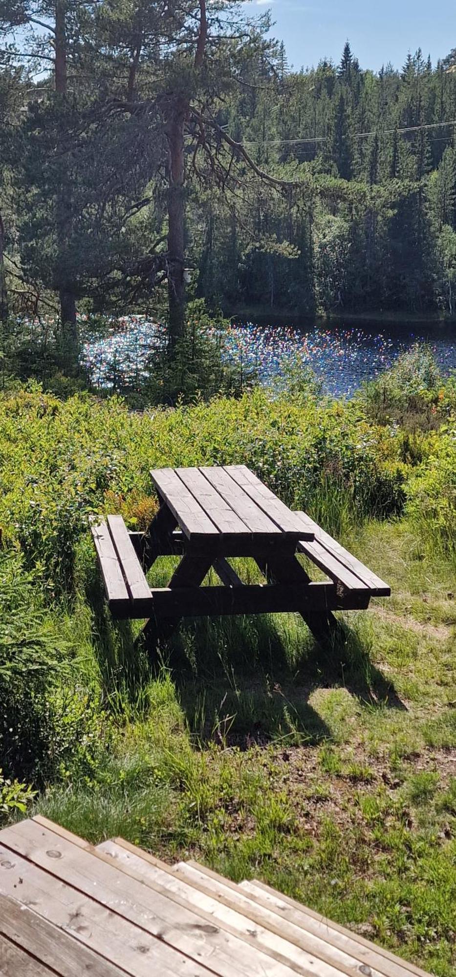 Kongsberg Ro I Sjelen. Hytte Til Leie Pa Skrim. מראה חיצוני תמונה